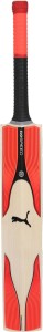 puma evospeed 3.17 snr bat english willow cricket  bat(700)