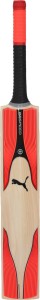 puma evospeed 2.17 bat english willow cricket  bat(700)