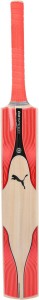 puma evospeed kw 4 x edge bat english willow cricket  bat(700)