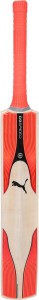 puma evospeed kw 2 snr bat english willow cricket  bat(700)