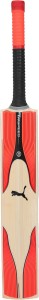 puma evospeed 4.17 snr bat english willow cricket  bat(700)
