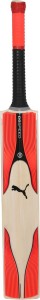 puma evospeed 2.17 snr bat english willow cricket  bat(700)