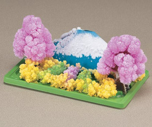 Magic garden cheap toy