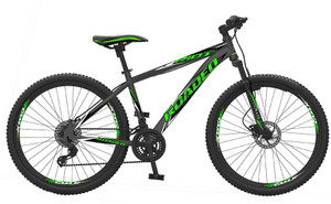 roadeo cycle in flipkart
