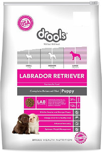 Drools for labrador puppy online