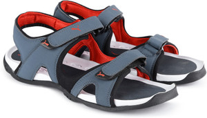 PUMA Jimmy DP Men Multicolor Sports Sandals Buy bering sea high