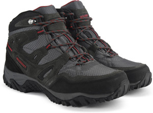 wildcraft sports shoes