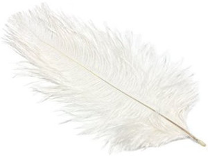 Feathers and sale plumes
