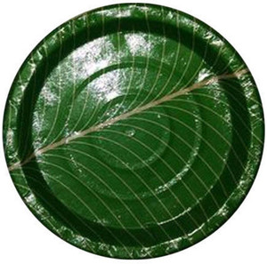 Hug Me Disposable Green Color Design Plate Set Plate Set