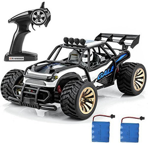 Distianert rc clearance