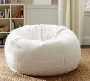 Mollismoons dog store