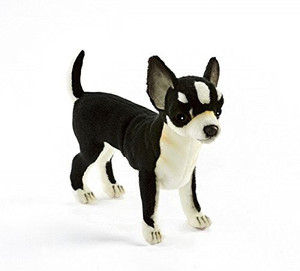 Black and white best sale chihuahua stuffed animal
