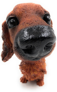 Dash hot sale dog price