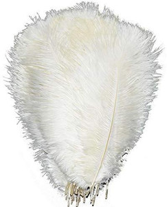 Aababuy Lanpeed 10pcs Ostrich Feathers 18 20 inch 45 50cm for