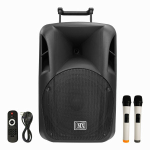 Personal 2025 dj speakers