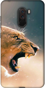 Casotec Back Cover for POCO F1