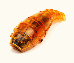 Hexbug larva hotsell