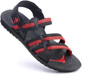 Vkc best sale pride kito