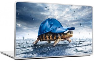 Gallery 83 ® Funny 3D Turtle with Cap in Rain Exclusive High Quality Laptop Decal, laptop skin sticker 15.6 inch (15 x 10) Inch G83_skin_0080new Vinyl Laptop Decal 15.6