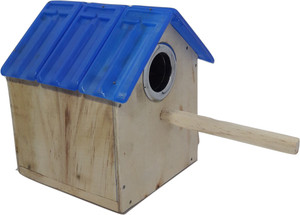 happy day Breeding Box for Love Birds Show Cross Finches and Java