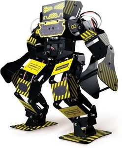 Super anthony fighting robot discount