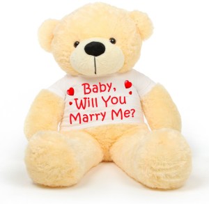 Will you marry store me teddy bear