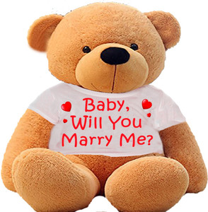 Will you marry new arrivals me teddy bear
