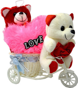 ME&YOU Romantic Gifts, Surprise Cycle Teddy for Wife, Girlfriend, fiance On Valentine's Day, Birthday, Anniversary, Karwa Chauth and any special Occasion IZ18TWRCyPH-002 - 16 cm
