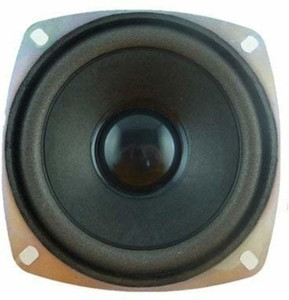 Esp 4 inch subwoofer clearance