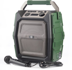 Koryo speaker with mic outlet