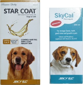 Gold coat sale for dogs