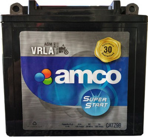 Pulsar 220 amco battery price sales