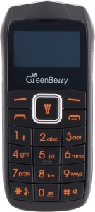 GreenBerry Nano(Black)