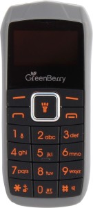 GreenBerry Nano(Grey)