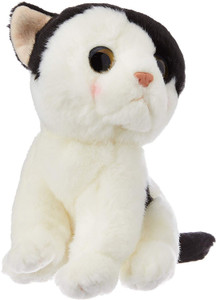 WILD REPUBLIC Wild Watchers Cat Black and White 7 inch Wild Watchers Cat Black and White Buy Cat toys in India. shop for WILD REPUBLIC products in India. Flipkart
