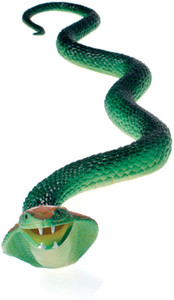 Big shop fake snake