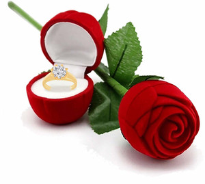 Red rose shop to girlfriend