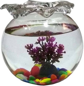 Aquarium accessories flipkart sales