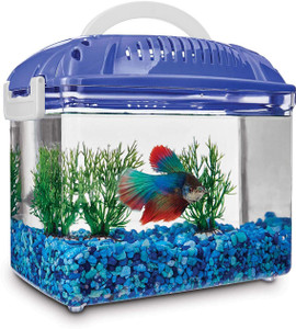 Fibre fish tank for sale clearance