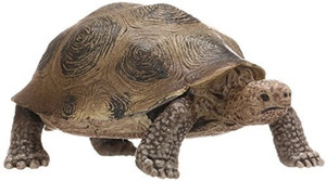 Schleich giant tortoise new arrivals