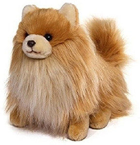 Boo buddy dog top