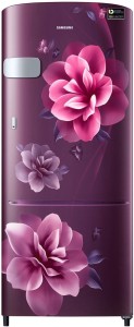 Samsung 230 L Direct Cool Single Door 3 Star (2019) Refrigerator(Camelia Purple / Camelia RED., RR24R2Y2ZCR/NL)