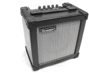 Stranger 15 inch speaker clearance