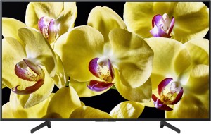 Sony Bravia X8000G 163.9cm (65 inch) Ultra HD (4K) LED Smart Android TV(KD-65X8000G)