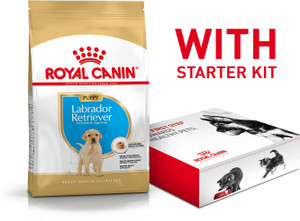 Royal Canin Labrador Retriever Puppy With Starter Kit Offer 3 kg 2x1.5 kg Dry Young Dog Food Price in India Buy Royal Canin Labrador Retriever Puppy With Starter Kit Offer 3