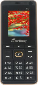 GreenBerry Play(Black)