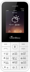 GreenBerry Titan(White&Grey)