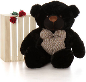 Teddy bear in black colour 2025