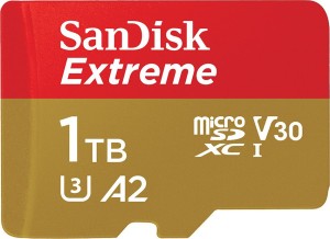 SanDisk Extreme 1 MicroSDXC UHS Class 3 160 Mbps  Memory Card(With Adapter)
