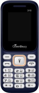 GreenBerry 310(Blue)